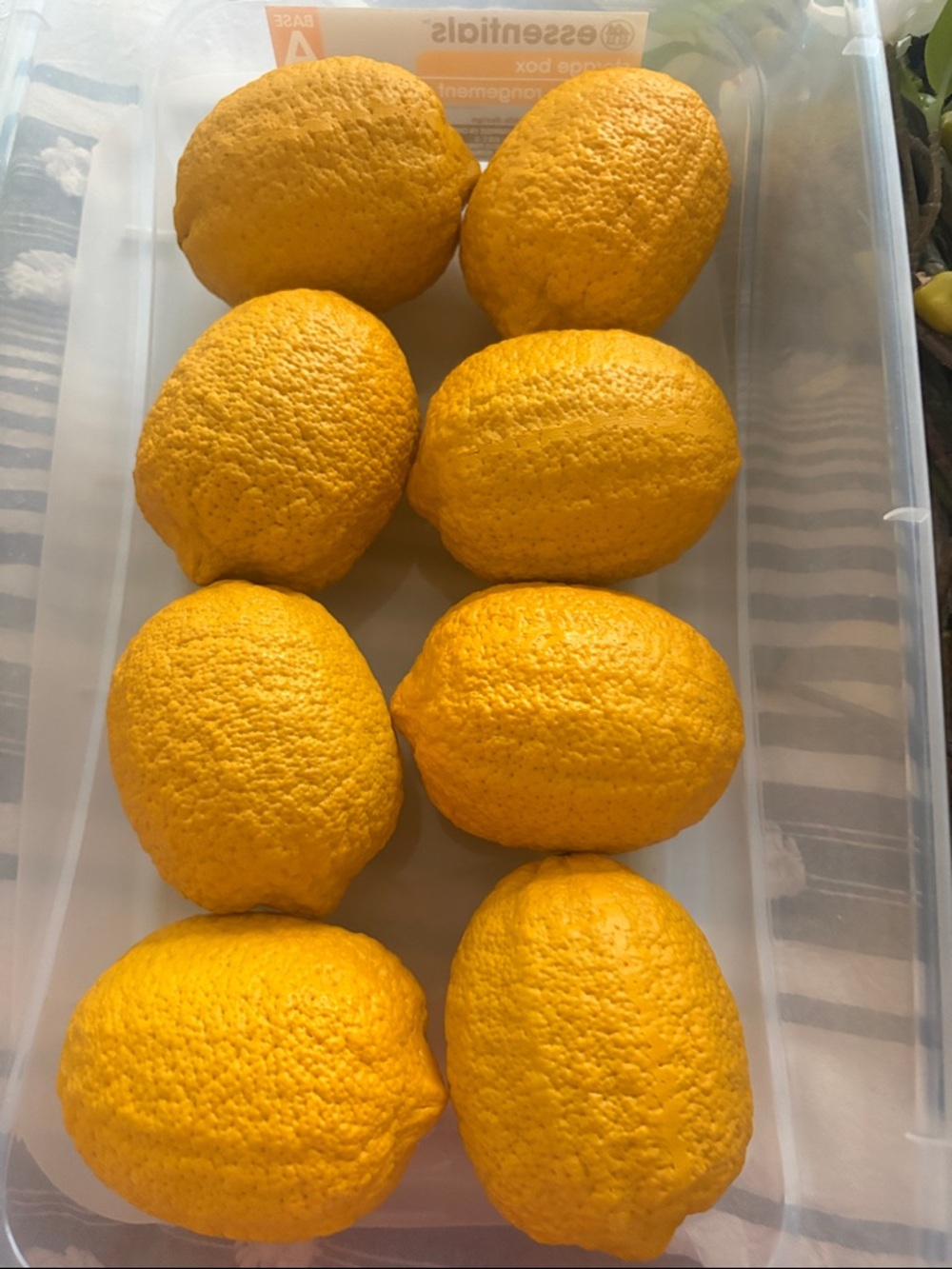 Fresh Lemons - Bright Yellow Decorative Fruit
